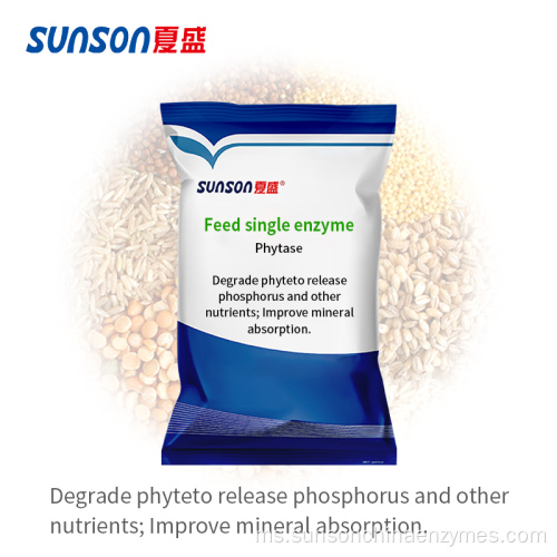 Enzim phytase termostable makanan tambahan untuk ternakan